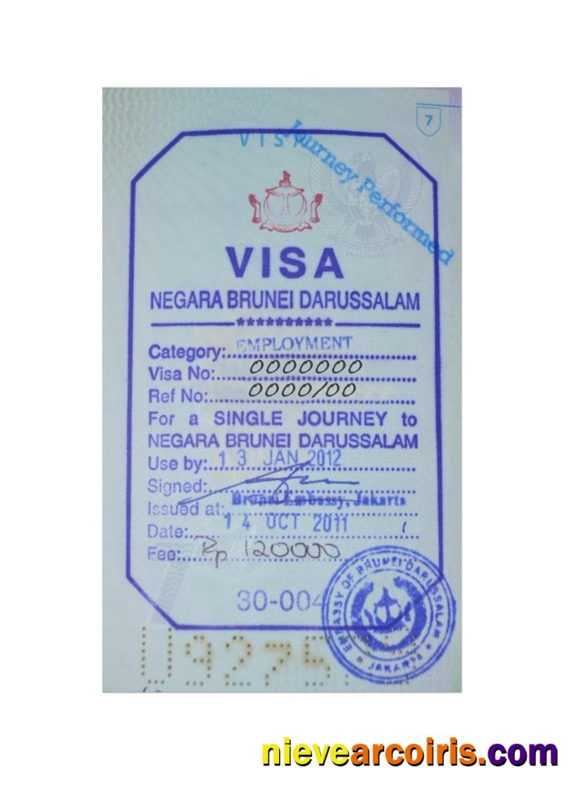 BRUNEI stamp visa